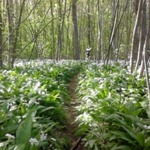 6Sur-les-traces-rando-des-terrils-oignies-2015