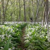 7Sur-les-traces-rando-des-terrils-oignies-2015