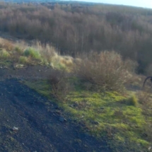 vcfaumont-2017-12-31-13h31m29s141 vcfaumont-2017-12-31-13h31m29s141