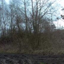 vcfaumont-2017-12-31-13h42m41s363 vcfaumont-2017-12-31-13h42m41s363