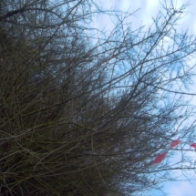 vcfaumont-2018-01-14-16h00m43s304 vcfaumont-2018-01-14-16h00m43s304