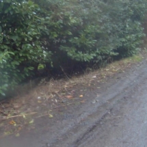 vcfaumont-2018-01-28-15h04m13s295 vcfaumont-2018-01-28-15h04m13s295