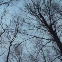 vcfaumont-2018-01-28-15h10m28s967 vcfaumont-2018-01-28-15h10m28s967