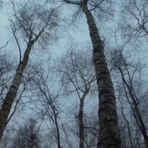 vcfaumont-2018-01-28-15h10m37s514 vcfaumont-2018-01-28-15h10m37s514