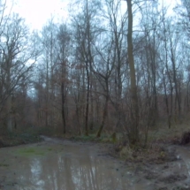 vcfaumont-2018-02-04-16h02m25s380 vcfaumont-2018-02-04-16h02m25s380