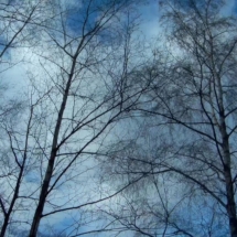 vcfaumont-2018-02-11-14h35m59s457 vcfaumont-2018-02-11-14h35m59s457