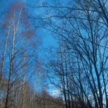 vcfaumont-2018-03-04-14h43m58s186 vcfaumont-2018-03-04-14h43m58s186