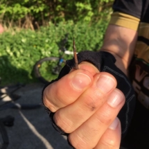 31081520_2003915779869313_6054059881806168064_n 31081520_2003915779869313_6054059881806168064_n