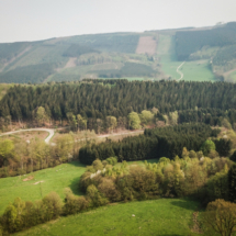 DCIM100MEDIADJI_0333.JPG DCIM100MEDIADJI_0333.JPG