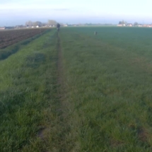 vcfaumont-2018-04-15-14h29m26s125 vcfaumont-2018-04-15-14h29m26s125