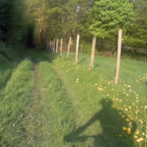 vcfaumont-2018-04-22-15h11m35s635 vcfaumont-2018-04-22-15h11m35s635