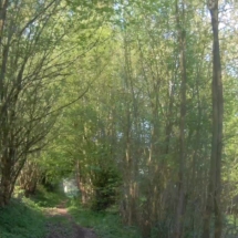 vcfaumont-2018-04-22-15h12m16s218 vcfaumont-2018-04-22-15h12m16s218