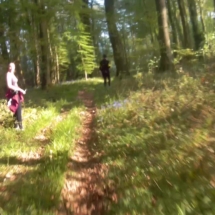 vcfaumont-2018-04-22-15h15m43s211 vcfaumont-2018-04-22-15h15m43s211