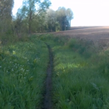 vcfaumont-2018-04-22-15h16m14s491 vcfaumont-2018-04-22-15h16m14s491