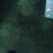 vcfaumont-2018-05-10-10h48m12s994 vcfaumont-2018-05-10-10h48m12s994