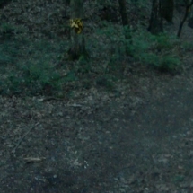 vcfaumont-2018-05-19-09h42m56s879 vcfaumont-2018-05-19-09h42m56s879