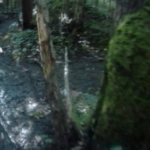 vcfaumont-2018-06-03-19h23m22s166 vcfaumont-2018-06-03-19h23m22s166