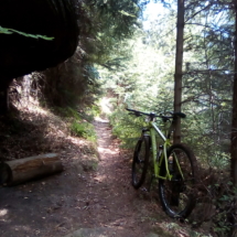 IMG_20180715_151057 IMG_20180715_151057