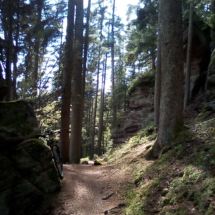 IMG_20180715_152041 IMG_20180715_152041