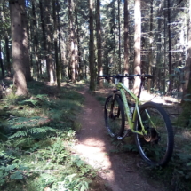 IMG_20180716_104238 IMG_20180716_104238