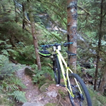 IMG_20180720_101131 IMG_20180720_101131