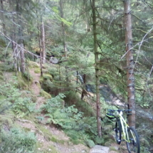 IMG_20180720_101155 IMG_20180720_101155