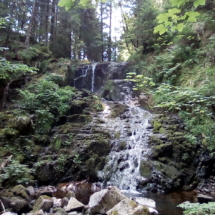 IMG_20180720_101644 IMG_20180720_101644