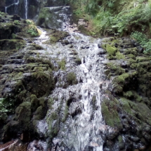 IMG_20180720_101719 IMG_20180720_101719