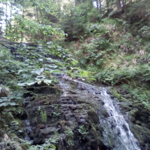 IMG_20180720_102006 IMG_20180720_102006