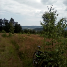 IMG_20180720_104546 IMG_20180720_104546