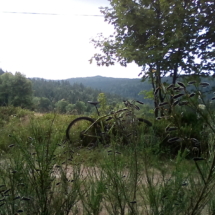 IMG_20180720_113212 IMG_20180720_113212