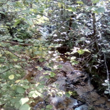 IMG_20180723_101143 IMG_20180723_101143