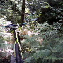 IMG_20180723_101207 IMG_20180723_101207