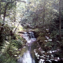 IMG_20180723_101242 IMG_20180723_101242