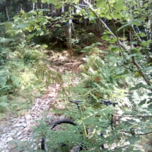 IMG_20180723_101339 IMG_20180723_101339