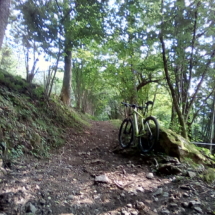 IMG_20180723_103212 IMG_20180723_103212