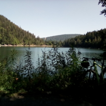 IMG_20180724_113743 IMG_20180724_113743