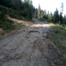 IMG_20180725_182139 IMG_20180725_182139