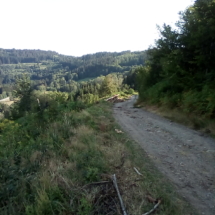 IMG_20180725_182150 IMG_20180725_182150