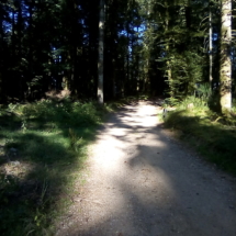 IMG_20180725_183910 IMG_20180725_183910