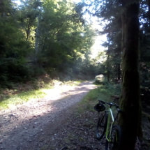 IMG_20180726_083803 IMG_20180726_083803