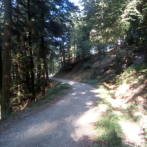 IMG_20180726_083826 IMG_20180726_083826