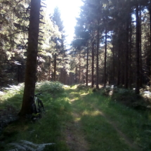 IMG_20180726_093000 IMG_20180726_093000