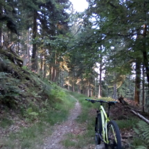 IMG_20180726_185003 IMG_20180726_185003