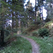 IMG_20180726_185039 IMG_20180726_185039