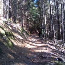 IMG_20180726_190114 IMG_20180726_190114