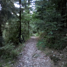 IMG_20180726_192857 IMG_20180726_192857