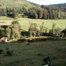 IMG_20180727_082001 IMG_20180727_082001