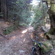 IMG_20180727_083531 IMG_20180727_083531