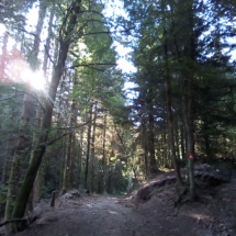 IMG_20180727_083551 IMG_20180727_083551